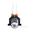 12V DC motor miniatyr peristaltisk pump